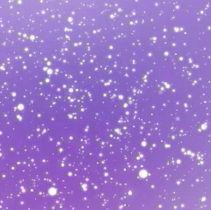 Meet your Posher, Rhianna